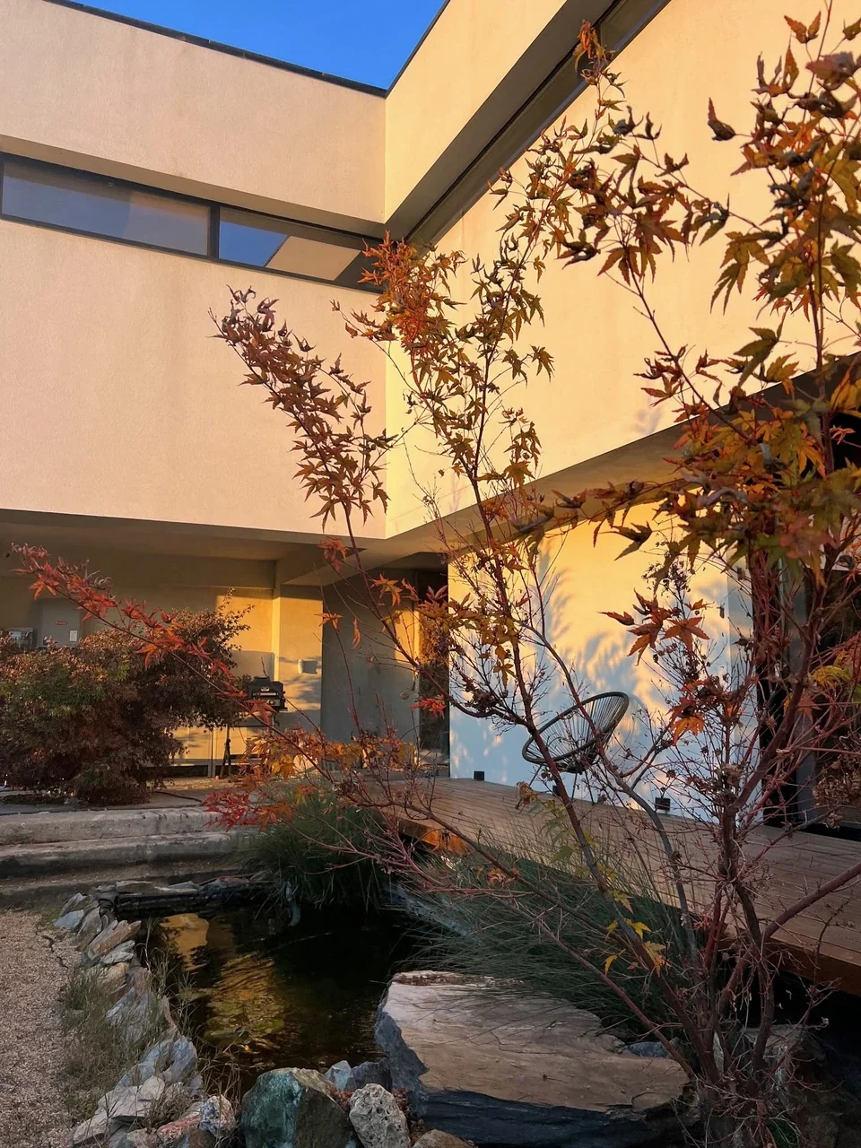 Courtyard in golden light, with trees, water and white walls.