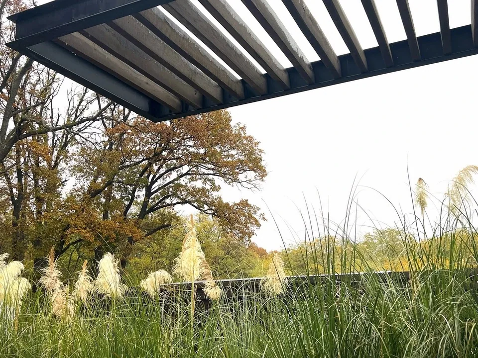 Casa M22 — Corbeanca — Pergola și grădina