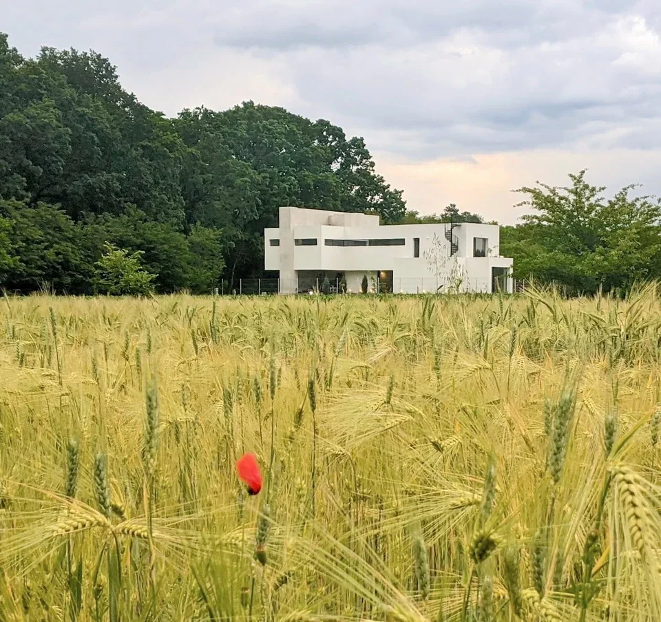 Casa M22 — Corbeanca — Casa văzută din câmp